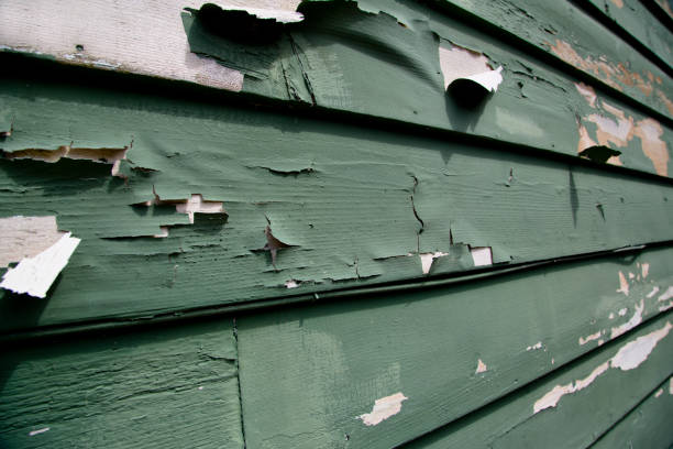Professional Junk Removal in Clarkdale, AZ